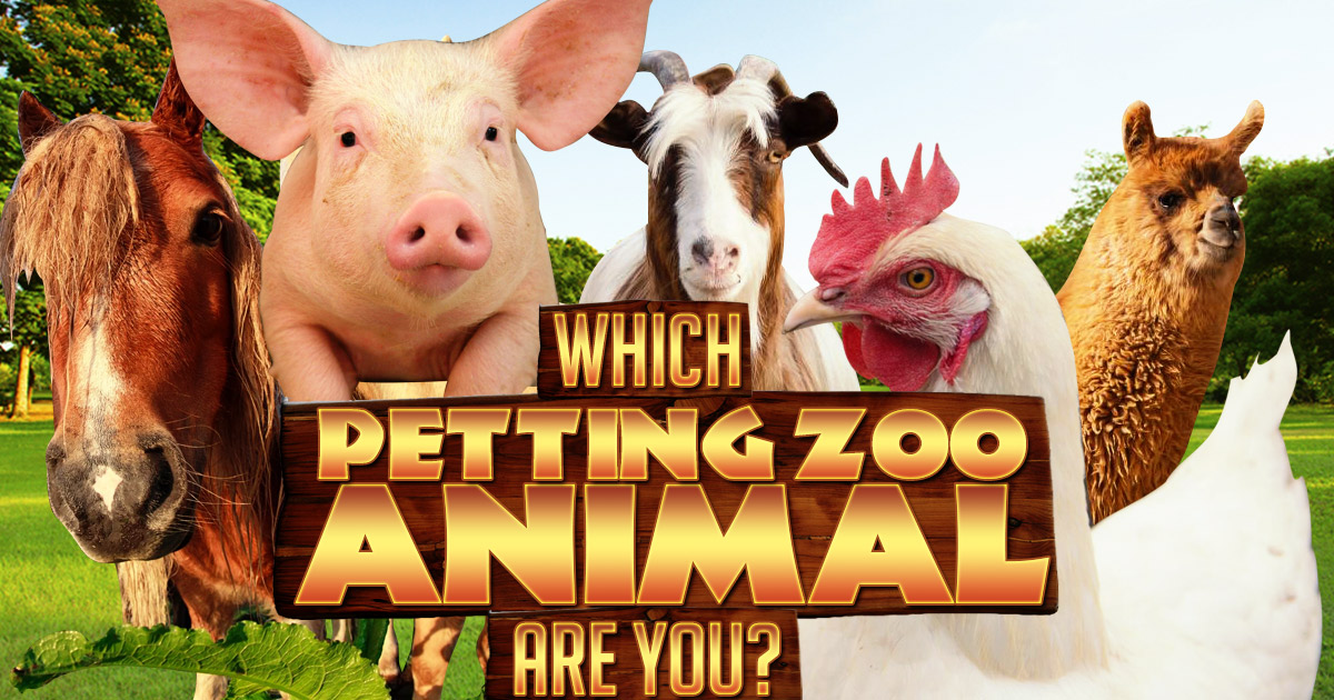 petting-zoo