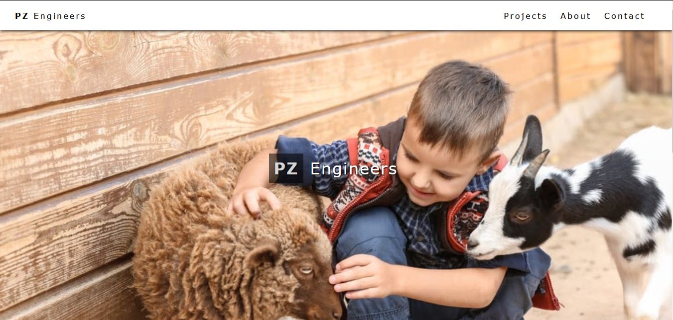 pz engineers website